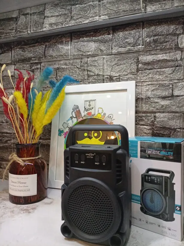 GTS 1360 Speaker
