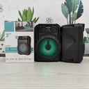 GTS 1346 Portable Bluetooth Speaker